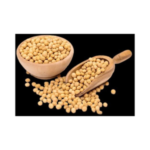 Frijoles de soja no transgénicos/Frijoles de soja Semillas de soja y semillas de soja - Product Image 4