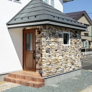 Revêtement mural en pierre naturelle texturée durable et décorative de qualité supérieure Bois pétrifié - Product Image 6