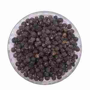 Bayas de albaricoque enteras naturales, frescas de temporada, suministro a granel para exportación con etiquetado y empaquetado personalizados para compradores globales - Product Image 1