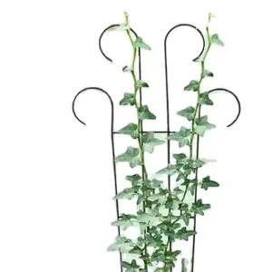 Support de treillis de jardin en métal noir moderne pour vignes grimpantes lisseur de plantes pots de fleurs et jardinières - Product Image 1