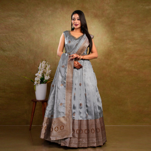 Vestido de Seda Banarasi de Lujo con Motivos Tradicionales Tejidos en Zari, Borde de Herencia Enriquecida y Elegante Silueta Evase - Product Image 3