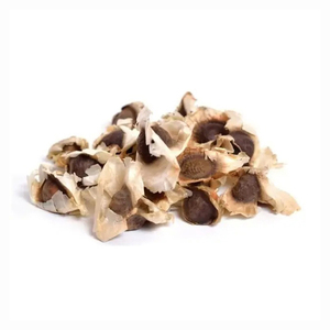 ผงสกัดเมล็ดมะรุมเบลเยียมขายส่ง - อายุการเก็บรักษา 12 เดือน - Product Image 1