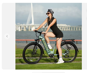 Bicicleta Eléctrica de Montaña de Aluminio para Adultos, con Motor Central de 36v 250w, Alto Rango y Gran Torque, Venta al Por Mayor de Fábrica, OEM - Product Image 1