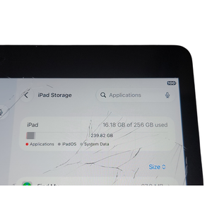 Pour la 9ème génération, 256 Go, Wi-Fi 5G, IOS, gris sidéral - Product Image 4