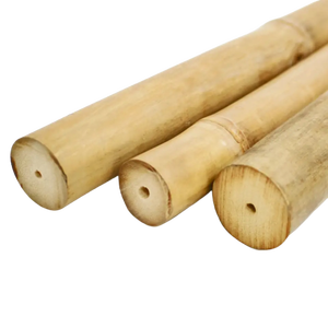 Varas de Bambú Baratas y Varas de Bambú para Construcción, Venta al por Mayor con Bambú Natural de Alta Calidad en Vietnam - Product Image 4