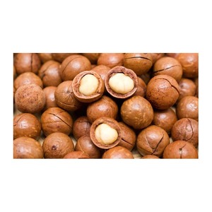 Noyau de macadamia de qualité supérieure Style 3 - Product Image 6