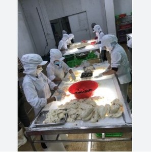 Fruit de corossol surgelé IQF en vrac, fabricant, exportateur, OEM, vente en gros - Product Image 6
