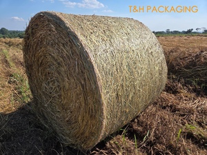 T&H 100% PP Raw Anti-UV High Tenacity <b>Netting</b> for Alfalfa Bundles Waterproof & Eco-Friendly Model TH1.25m*3000m - Product Image 3