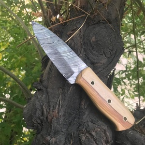 Couteau de chasse industriel à lame fixe en acier inoxydable, bouton poussoir, pointe tombante, pour camping et survie en extérieur, avec manche confortable en plastique - Product Image 4