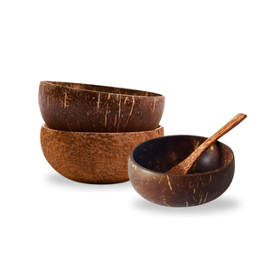 ชามเปลือกมะพร้าวธรรมชาติขายดี ขัดเงาอย่างดี สไตล์ชนบท เป็นมิตรกับสิ่งแวดล้อม ขายส่ง พร้อมช้อนสลักโลโก้ - Product Image 1