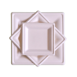 Piatto Quadrato in Bagassa PQ10 260 x 260 mm - Confezione da 50 Pezzi - Product Image 4