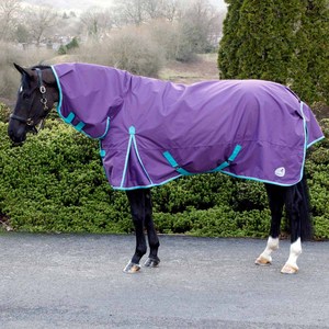 ผ้าโพลีเอสเตอร์100% พรมม้าแบบสั่งทำได้พร้อมดีไซน์แบบกันน้ำในฤดูหนาว - Product Image 3