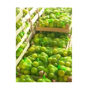 Trusted Supplier of Excellent Quality Wholesale Green Yellow Color Natural Fresh Lime | Fresh Citrus Fruit Lime from Egypt