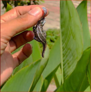 Rod Cut VVS1 Moissanite Diamond Lizard Charm Pendant for <b>Men</b> 925 Sterling Sier Hip Hop Style with Cross Number Pattern Chain - Product Image 4