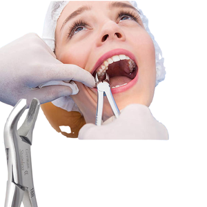 Fórceps Dentales Manuales de Acero Inoxidable de Alta Calidad, Diseño de Patrón Inglés, Agarre Ergonómico, Certificación CE, Extracción Dental Confiable - Product Image 4