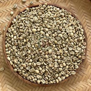 Grains de café vert Arabica de haute qualité du Vietnam, calibre 18, arôme naturel pur, qualité stable, export en vrac, directement de l'usine - Product Image 2