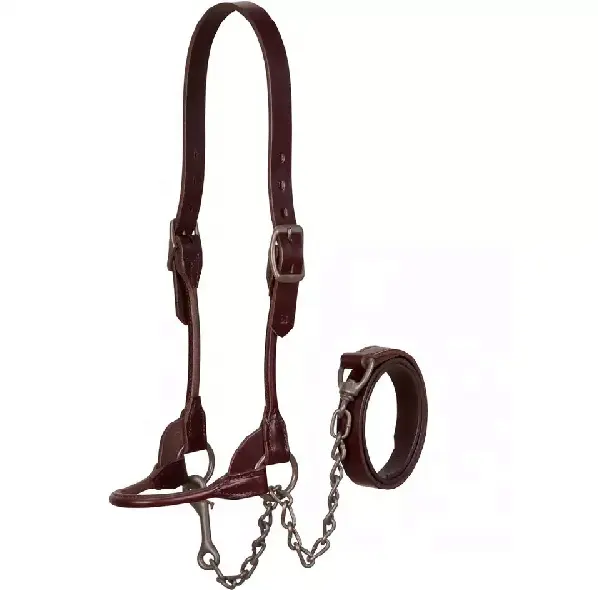 Paardrijden Paardensport Halter Bruin Bombshell Lederen Vee Show Halter Miniatuur Paard Show Kabel Halter Gaas Zadel