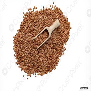 Buy affordable high grade <b>lentil</b> seeds Best prices for premium <b>lentil</b> seeds - Product Image 2