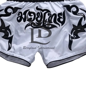 2025 Cross Training Boxing Shorts Trunks Fight Wear Muay Thai Boxing Shorts Gym Trunks Classic Boxing Shorts Breathable - Product Image 2