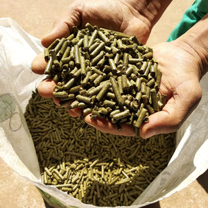 Pellets de heno de alfalfa para piensos a la venta a granel - Product Image 1