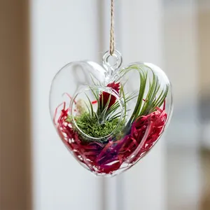 HCH1205 - Terrario Pequeño en Forma de Corazón - 5" de Alto - Product Image 4