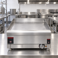 Grill électrique professionnel de comptoir en acier inoxydable, type Teppanyaki, pour restaurant et snack-bar