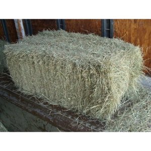 Ballots de foin de luzerne de qualité supérieure fourrage naturel pour le bétail équin et bovin meilleure alimentation animale - Product Image 4