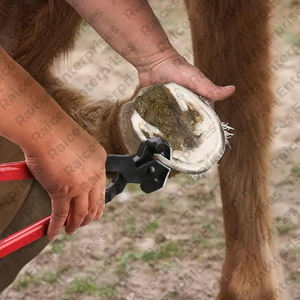 Kit profesional de herramientas de corte de pezuñas de herrador de caballos de alta resistencia, herramientas de herrador de instrumentos veterinarios a la venta, características reutilizables - Product Image 3
