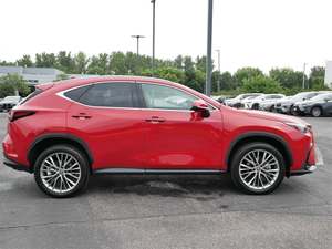 Lexus NX350 Premium AWD SUV ปี 2025 สภาพดีเยี่ยม พร้อมเกียร์อัตโนมัติ เบาะหนัง ซันรูฟ ไฟหน้า LED - Product Image 4