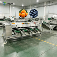 Automatisch Citrus Appel Peer Sorteersysteem Fruit- en Groente Sorteermachine