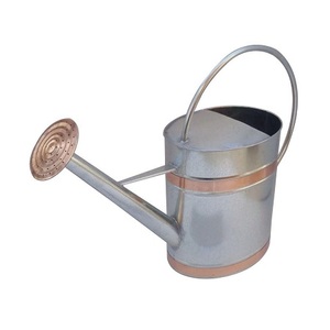 Regadera de jardín de diseño elegante, regadera de flores galvanizada de calidad creativa para plantas al mejor precio - Product Image 6
