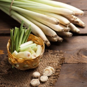 Hierba de limón fresca más vendida, precio más bajo, hierba de limón al por mayor, Exportación de Vietnam - Product Image 5