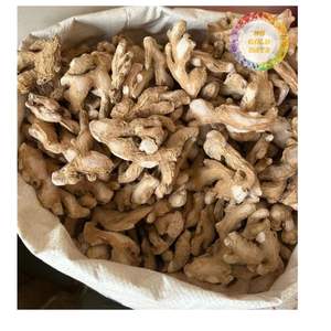 ขิงแห้งคุณภาพสูงจากเวียดนาม หั่นเป็นชิ้นสม่ำเสมอ เหมาะสำหรับการแปรรูปอาหาร - Product Image 1