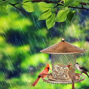Mangeoire à oiseaux pour l'extérieur, facile à nettoyer, mangeoire suspendue multifonctionnelle pour balcon, cour, jardin - Product Image 1
