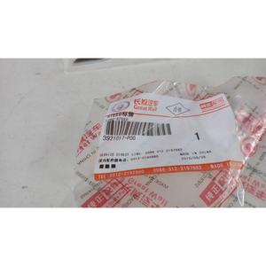 Adhesivo para Escritura GREAT WALL MOTOR Steed 5 Series (12>) 3921017-P00 Gasolina - Product Image 2