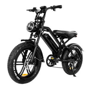 QUALITÉ SUPÉRIEURE Moto tout-terrain Neatly Electrics 12500W avec moteur central 74V 55Ah, 90 km/h hors route - Product Image 1