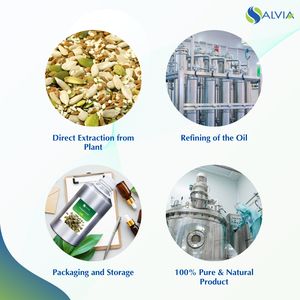 Aceite de semilla de calabaza 100% puro y natural al por mayor a granel precio más bajo embalaje personalizado - Product Image 4