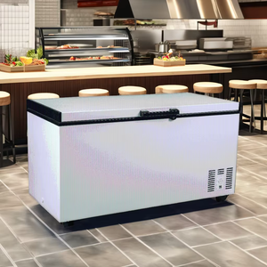 Congelador profundo 500L Carga superior horizontal Puerta única Venta al por mayor Congelador comercial de gran capacidad barato - Product Image 1