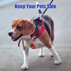 Có thể điều chỉnh prong đôi đã kết thúc sao lưu Pet Dog an toàn cổ áo sao lưu clip Clasp Dây Xích Kẹp Clip nối tím cho chó khai thác - Product Image 3