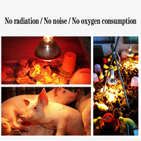 Nouvelle lampe chauffante infrarouge à lumière chaude pour l'élevage de poulets, canards et porcelets, lampe chauffante à température constante et à économie d'énergie