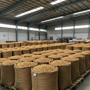 Noix de cajou séchées de qualité pour exportation emballées avec soin texture croquante délicieuses noix de cajou fraîches disponibles pour les grosses commandes - Product Image 6