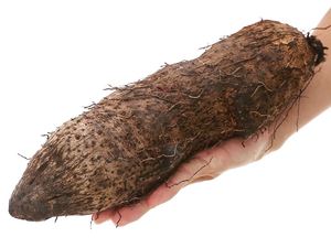 YAM BLANCO CONGELADO TODO NATURAL/SIN OMG/APTO PARA MARCAS DE HARNAS CONGELADAS OEM Y CADENAS DE SUPERMERCADOS INTERNACIONALES - Product Image 6