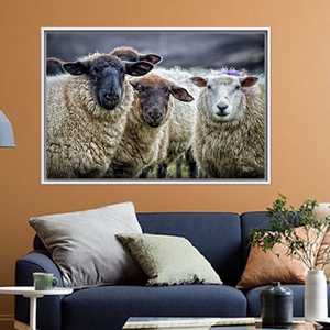 Printed <b>Canvas</b> Artwork: Elegant Sheep Office Decor for Farmhouse Wall,1P:White <b>Framed</b> - Product Image 1