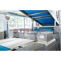Machine de fabrication de biscuits et de gâteaux entièrement automatique pour la production de biscuits mous, de biscuits durs et de craquelins