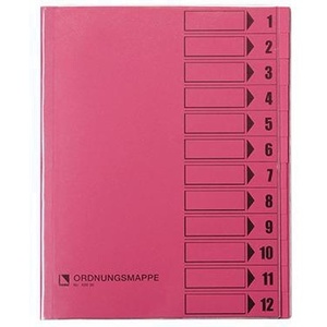 Pink BENE Filing <b>Folder</b> DIN <b>A4</b> 250g/m 12 Compartments - Product Image 1
