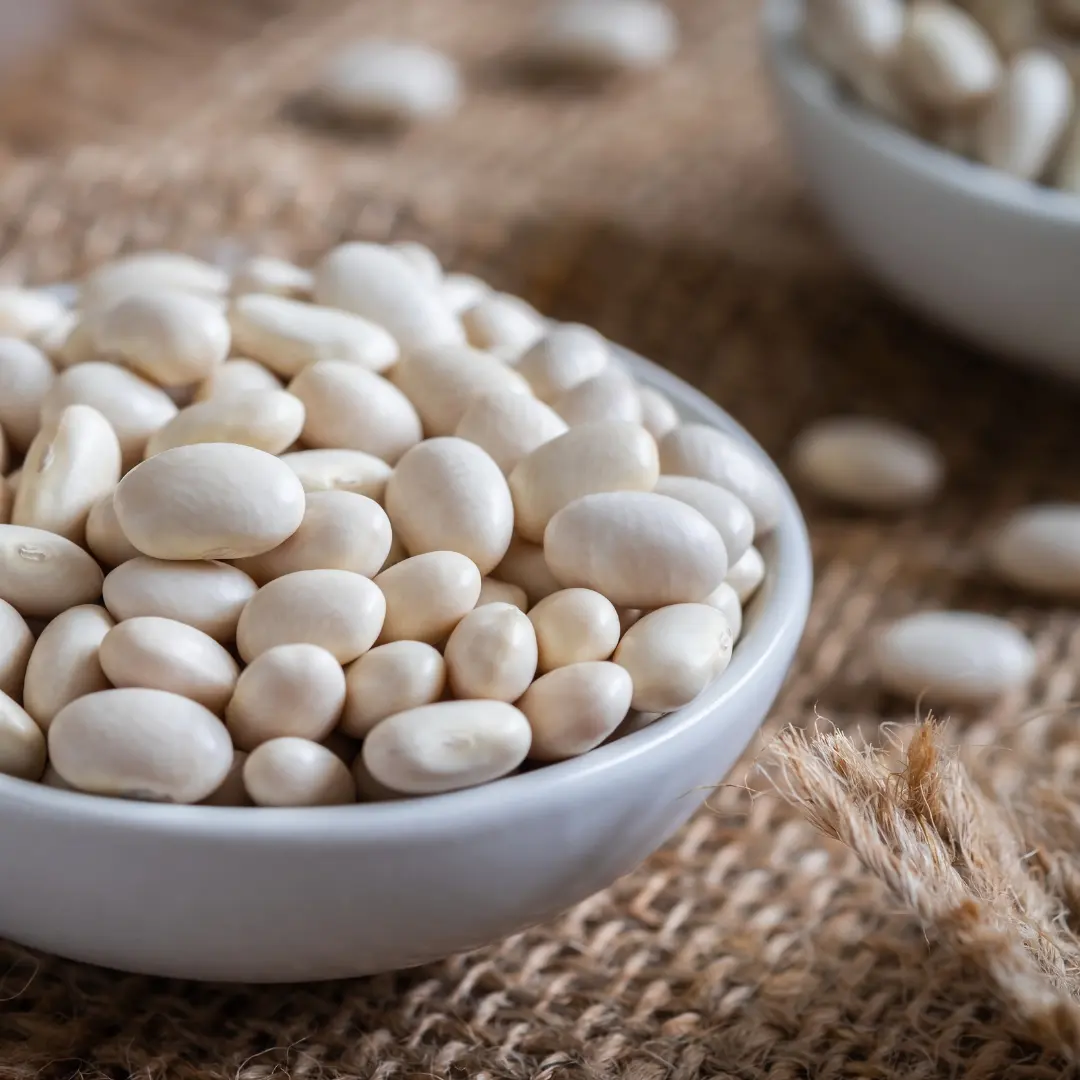 Fagiolo bianco renale per cibo in scatola