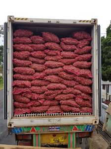 Gingembre frais - Product Image 6