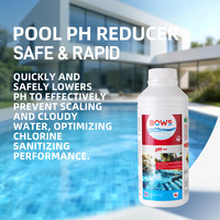 Poudre professionnelle pour réduire le pH de la piscine, 1 kg, pour abaisser le pH et l'alcalinité totale, dissolution rapide pour SPA et sources chaudes, prix usine, OEM ODM