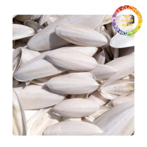 Os de seiche 100% naturel | Supplément de calcium sain pour les oiseaux | Origine du Viet Nam - Product Image 2