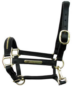 Top vente personnalisé cuir cheval licou Softy rembourré laiton matériel avec fantaisie points accessoire de Style occidental - Product Image 5
